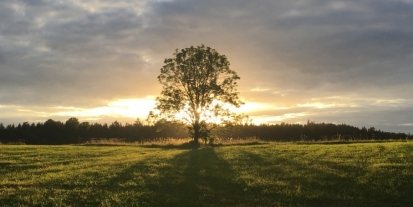 ÖzbİlİŞler sÖzlÜĞÜ