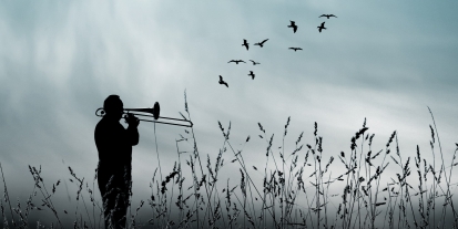 yol kiyisinda kuŞlar