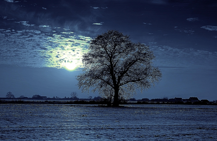 AY KANASIN KEMANLAR TAKSİM GEÇERKEN