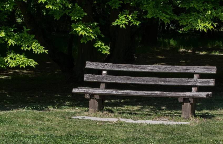 YANINDA SUSABİLECEĞİNİZ BİR DOSTUNUZ VAR MI?