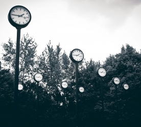 Bir Roman: Büyük İnsanlık İdeali Hakkında*