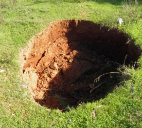 Kederli Bir Sakırgası Kastanyetli Dünyanın