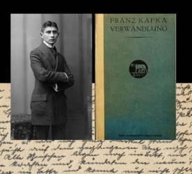 Modern Çağın İzdüşümü Olarak Bir Böcek