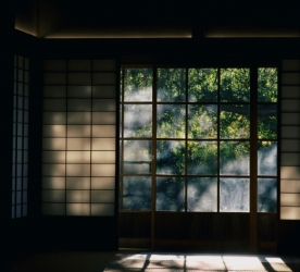 Ölüm ile Yaşam Arasında