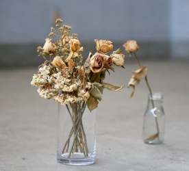 ÖLÜMÜN ARKASINDAN KONUŞMAK*