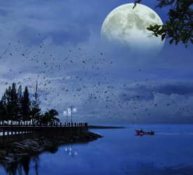 SAHİLDE BİR AKŞAMÜSTÜ