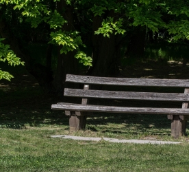 YANINDA SUSABİLECEĞİNİZ BİR DOSTUNUZ VAR MI?