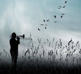 YOL KIYISINDA KUŞLAR