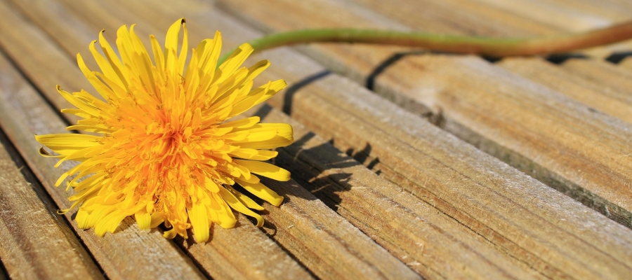 HİKÂYEYE SIĞINMA EYLEM PLANI