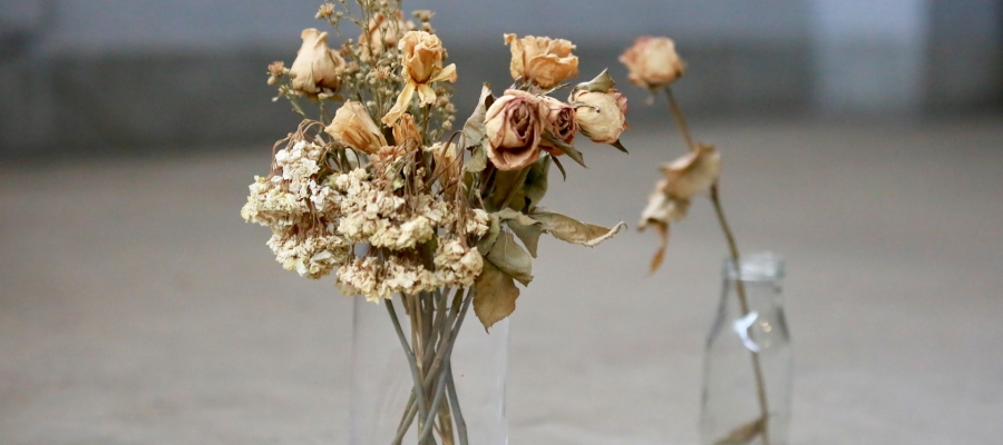 ÖLÜMÜN ARKASINDAN KONUŞMAK*