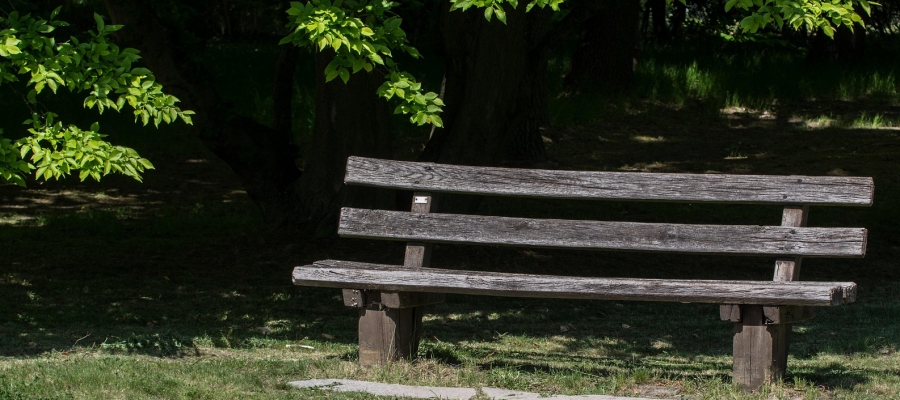 YANINDA SUSABİLECEĞİNİZ BİR DOSTUNUZ VAR MI?