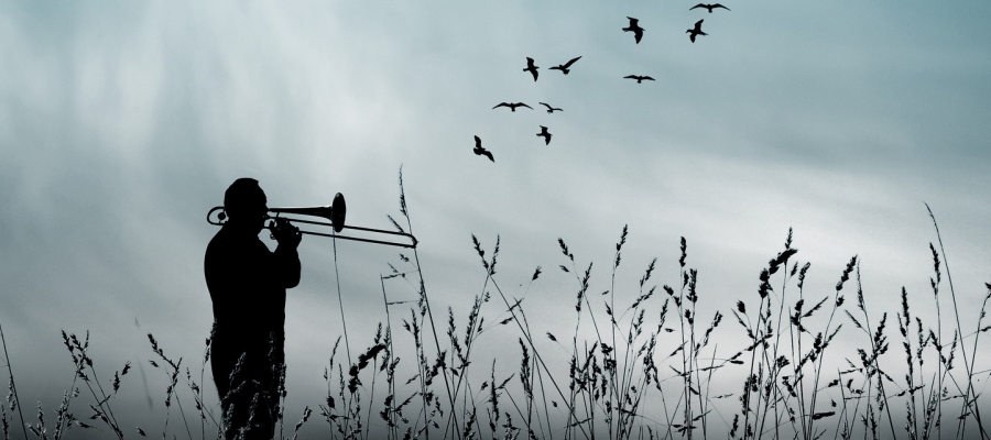 YOL KIYISINDA KUŞLAR