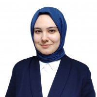 Bir Roman: Büyük İnsanlık İdeali Hakkında*